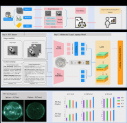 洛书模子的新正在于当时空特征留意力算法