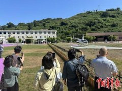 年群体则沉视“适用便当”取“质量糊口”的无